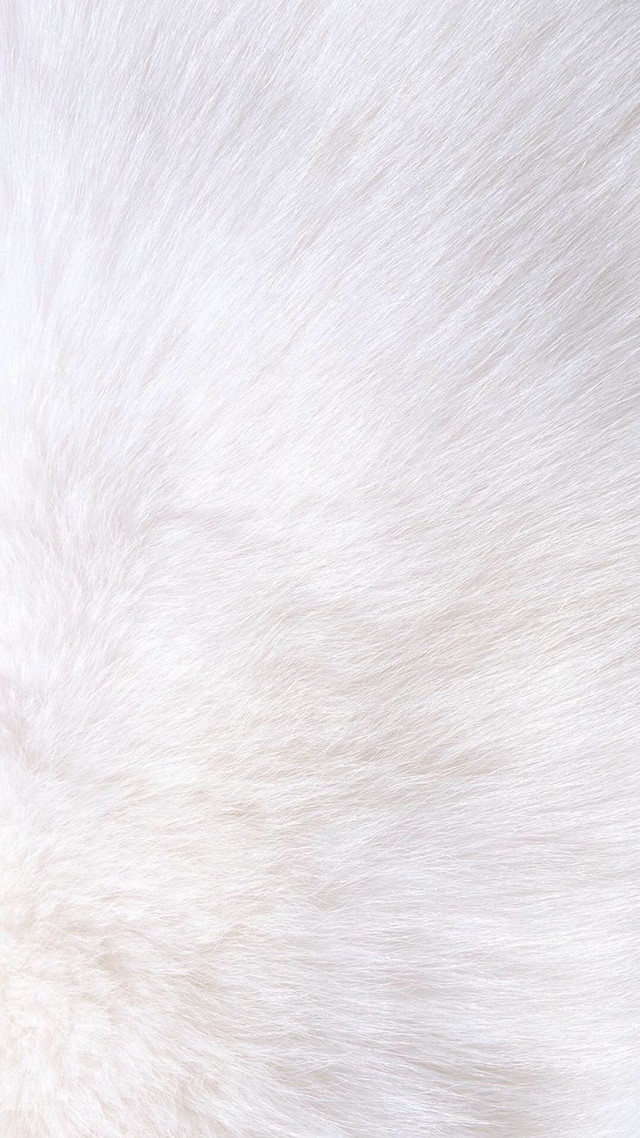 White fur black background white free wallpaper for mobile - medium preview image
