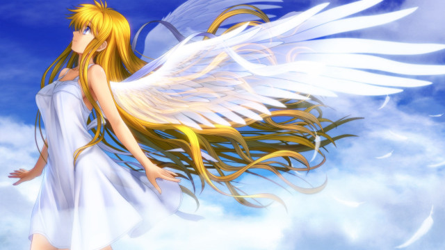Woman blonde hair white wings #2 free wallpaper for desktop - medium preview image