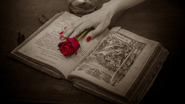 Person holding rose book open free wallpaper for desktop - medium preview image