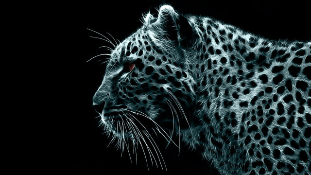Leopard face black white red free wallpaper for desktop - medium preview image