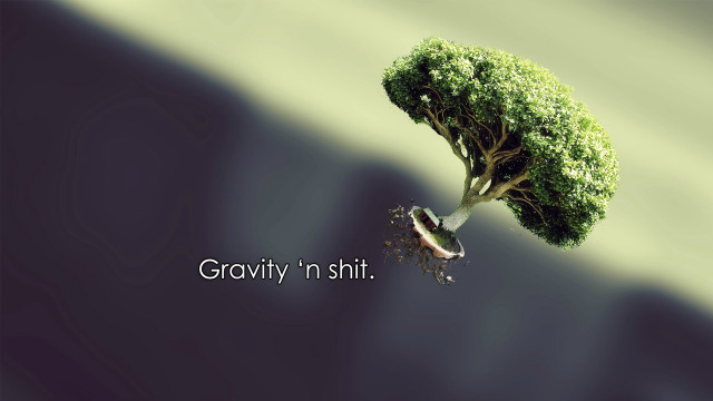Tree bird flying quote gravity free wallpaper for desktop - medium preview image