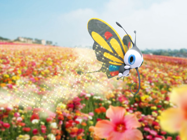 Butterfly flying field flowers sky free wallpaper for desktop - medium preview image