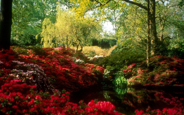 Lush stream forest flowers trees free wallpaper for desktop - medium preview image