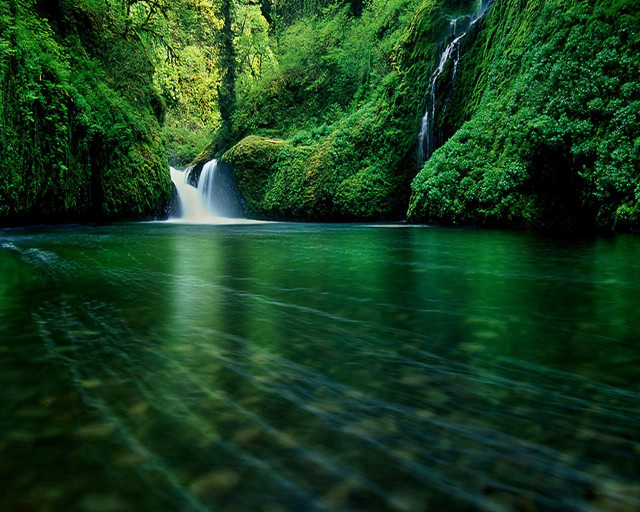 Waterfall green forest clear river free wallpaper for desktop - medium preview image