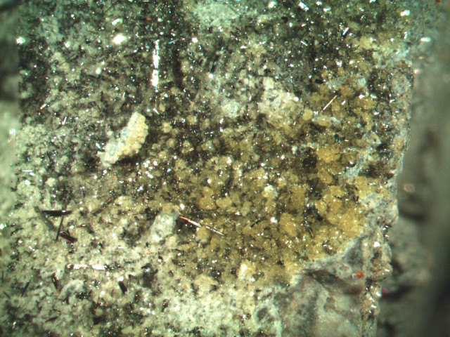 Close up rock dirt grass free wallpaper for desktop - medium preview image