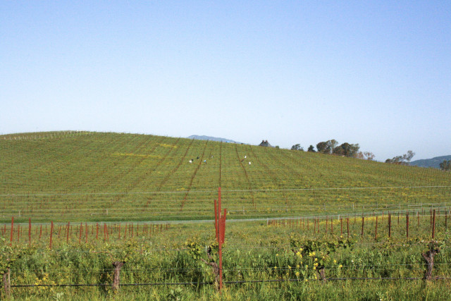 Large field fence hill trees free wallpaper for desktop - medium preview image