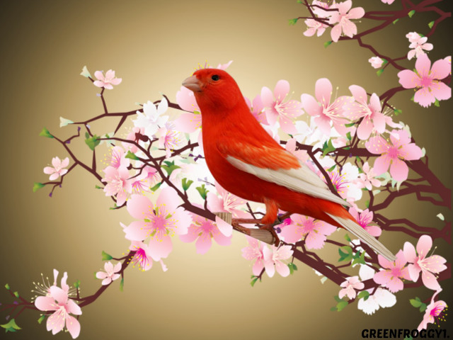 Red bird branch pink flowers free wallpaper for desktop - medium preview image