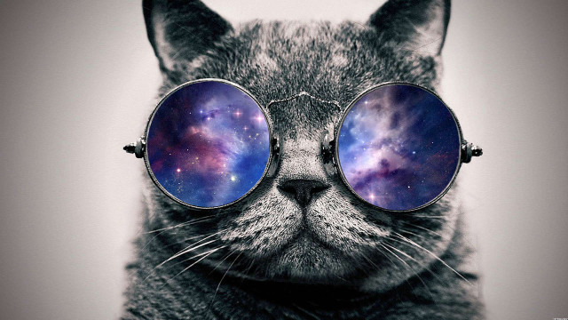 Cat glasses galaxy image lens free wallpaper for desktop - medium preview image
