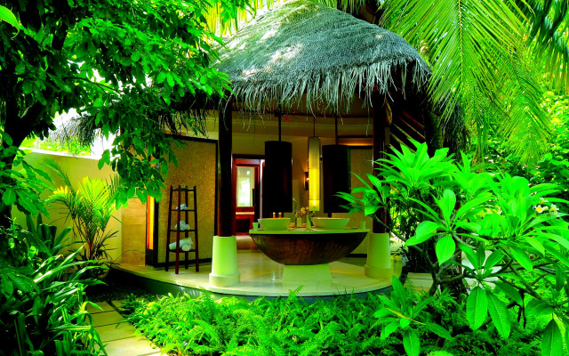 Tropical bathroom tub sink greenery free wallpaper for desktop - medium preview image