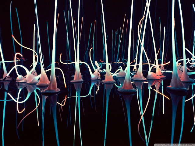 Sculptures sticks dark room water free wallpaper for desktop - medium preview image