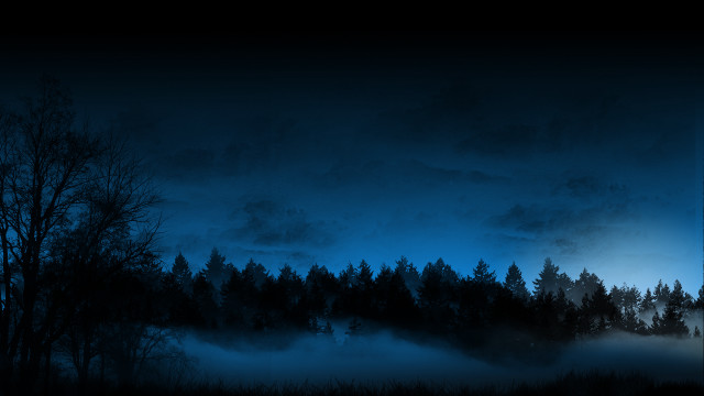Dark forest fog trees cloudy free wallpaper for desktop - medium preview image