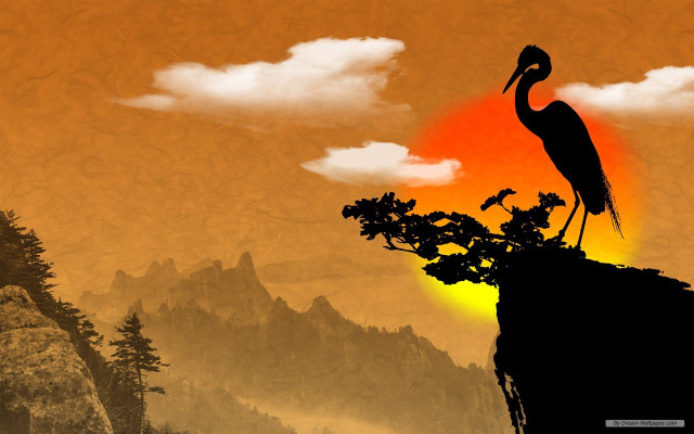 Bird perched rock sunset mountain free wallpaper for desktop - medium preview image