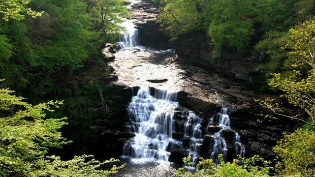 Waterfall forest trees river bridge free wallpaper for desktop - medium preview image