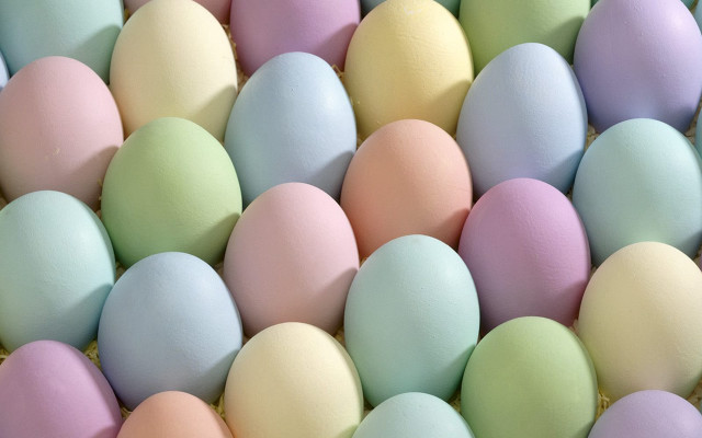 Colorful eggs box table group free wallpaper for desktop - medium preview image
