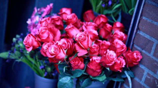 Red roses blue vase brick free wallpaper for desktop - medium preview image