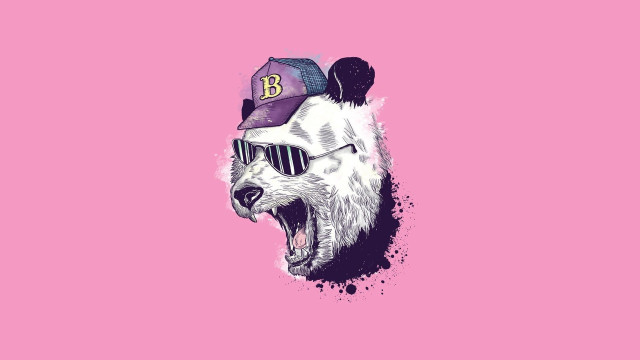 Bear sunglasses baseballcap pink pop free wallpaper for desktop - medium preview image