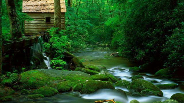 Small cabin woods stream nature free wallpaper for desktop - medium preview image