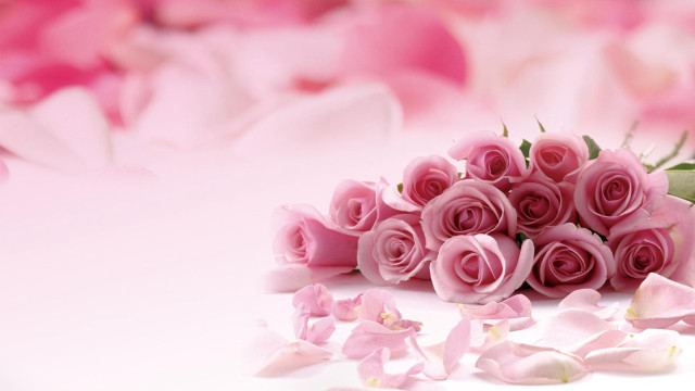 Pink roses bouquet white surface free wallpaper for desktop - medium preview image