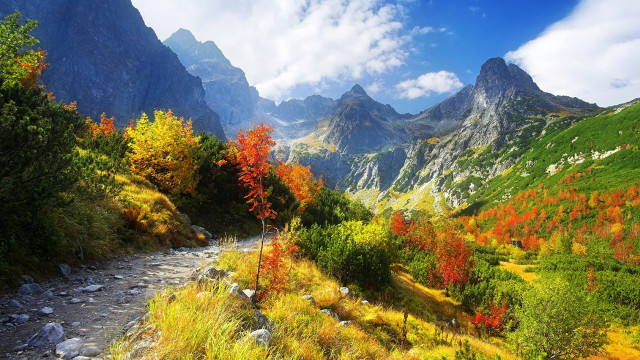 Mountain valley river orange yellow free wallpaper for desktop - medium preview image