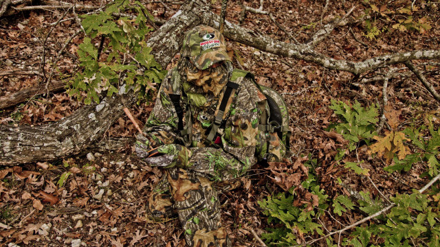Camouflaged man woods frisbee tree #2 free wallpaper for desktop - medium preview image