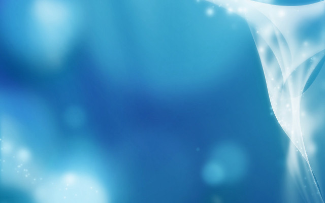 Blue background white flower side free wallpaper for desktop - medium preview image