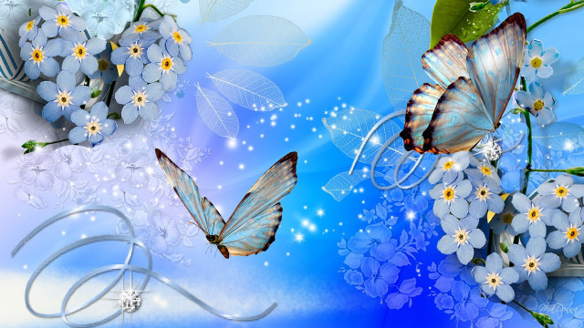 Blue background white flowers butterflies free wallpaper for desktop - medium preview image