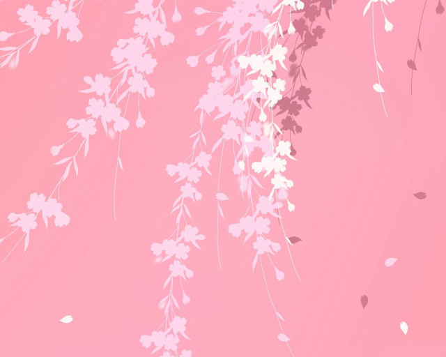 Pink background white flowers leaves #2 free wallpaper for desktop - medium preview image