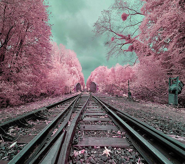Train track trees building pink free wallpaper for tablet - medium preview image