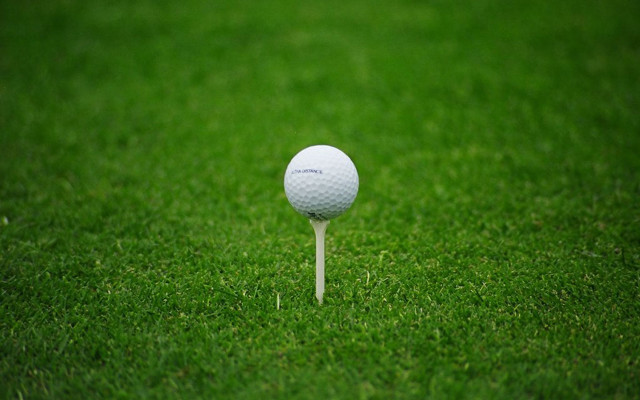 Golf ball tee grass club free wallpaper for desktop - medium preview image