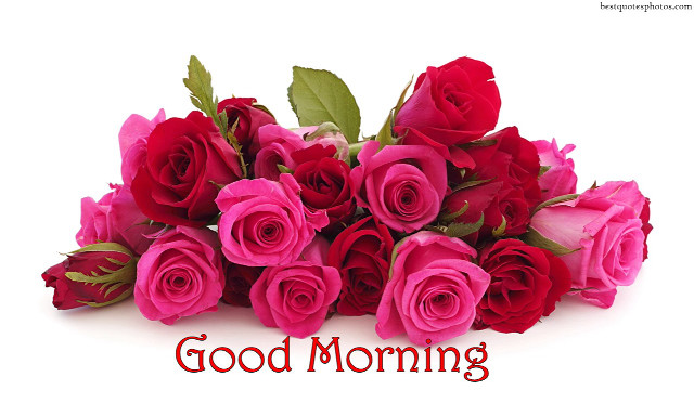 Red roses good morning bouquet free wallpaper for desktop - medium preview image