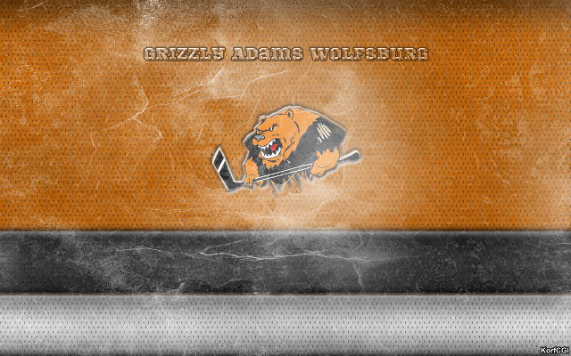 Grungy orange black bear hockey free wallpaper for desktop - medium preview image