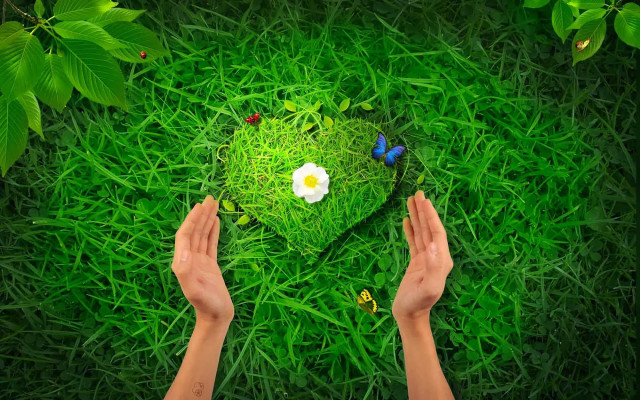 Person holding heart green grass #2 free wallpaper for desktop - medium preview image