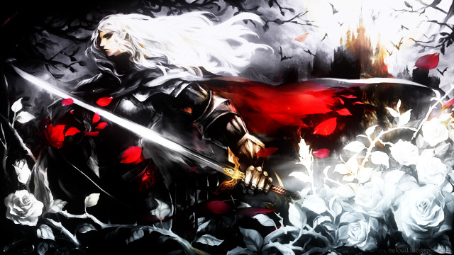 Woman sword field flowers roses free wallpaper for desktop - medium preview image