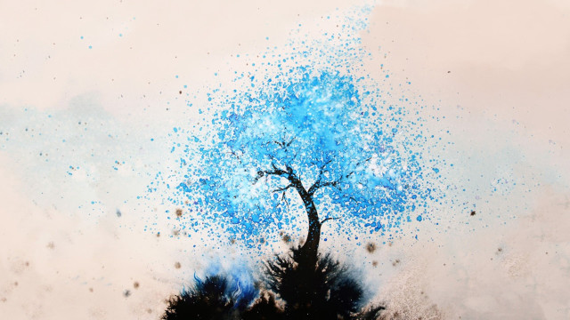 Blue tree sprinkles branches sky free wallpaper for desktop - medium preview image