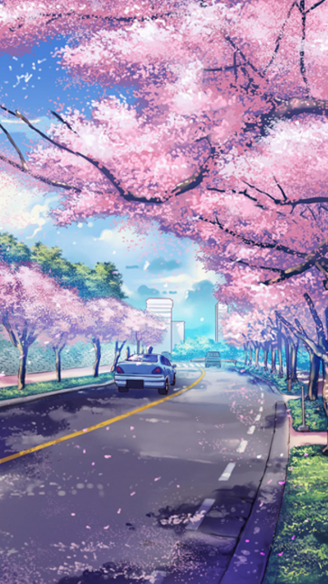 Car street pink flowers bench free wallpaper for mobile - medium preview image