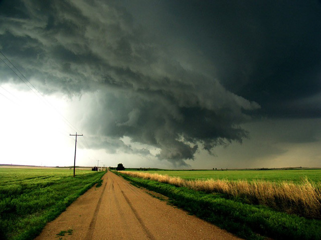 Dirt road field telephone poles free wallpaper for desktop - medium preview image