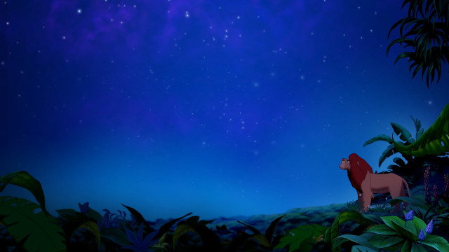 Lion jungle night sky stars free wallpaper for desktop - medium preview image