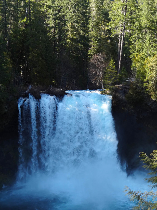 Large waterfall blue waterfall forest free wallpaper for mobile - medium preview image
