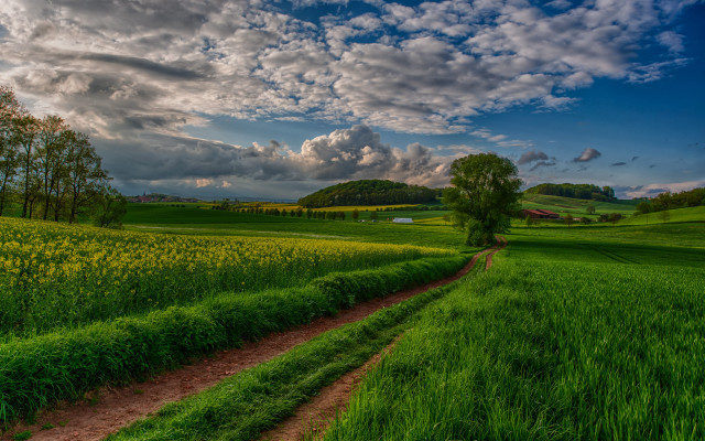 Dirt road green field cloudy #13 free wallpaper for desktop - medium preview image