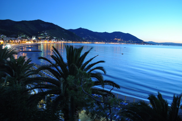 Beach palm trees city night free wallpaper for desktop - medium preview image