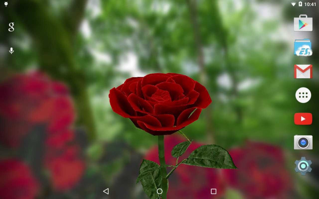 Red rose blurry background green free wallpaper for desktop - medium preview image