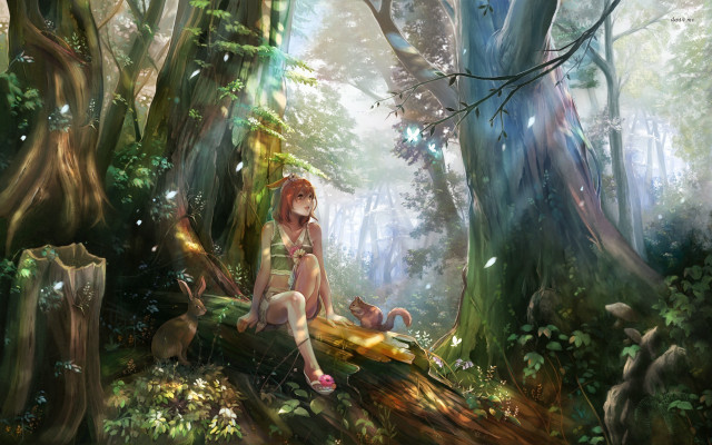 Forest magic realism anime woman free wallpaper for desktop - medium preview image