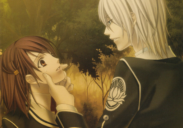 Anime couple forest sunlight trees free wallpaper for desktop - medium preview image