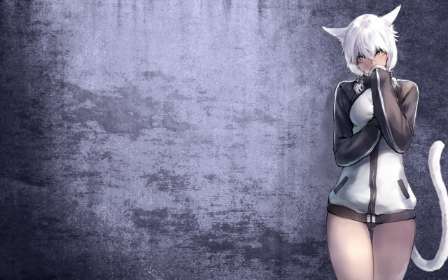 Woman cat costume wall cat free wallpaper for desktop - medium preview image