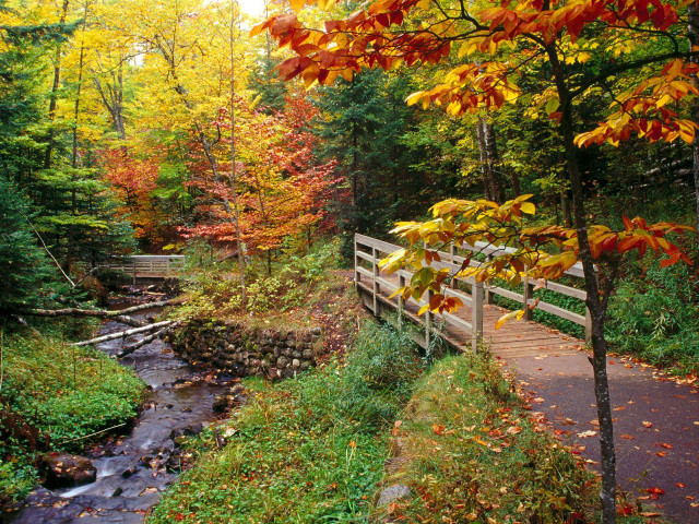 Wooden bridge fall foliage autumn free wallpaper for desktop - medium preview image