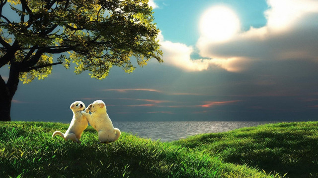 Stuffed animals grass tree hill #2 free wallpaper for desktop - medium preview image