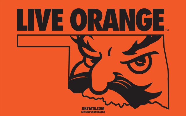 Tiger face live orange sign free wallpaper for desktop - medium preview image