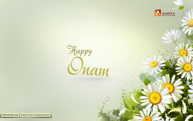 Green white daisies happy organ free wallpaper for desktop - medium preview image