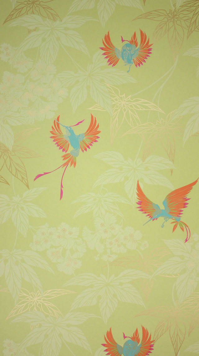 Bird pattern wallpaper bird back free wallpaper for mobile - medium preview image