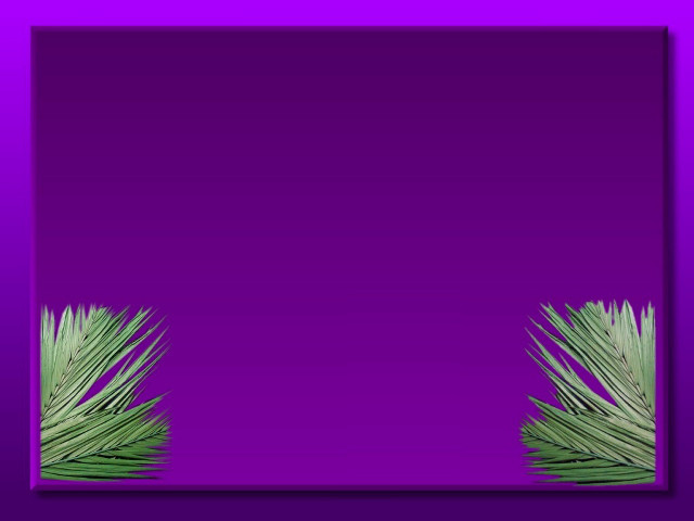 Purple background green palm tree free wallpaper for desktop - medium preview image